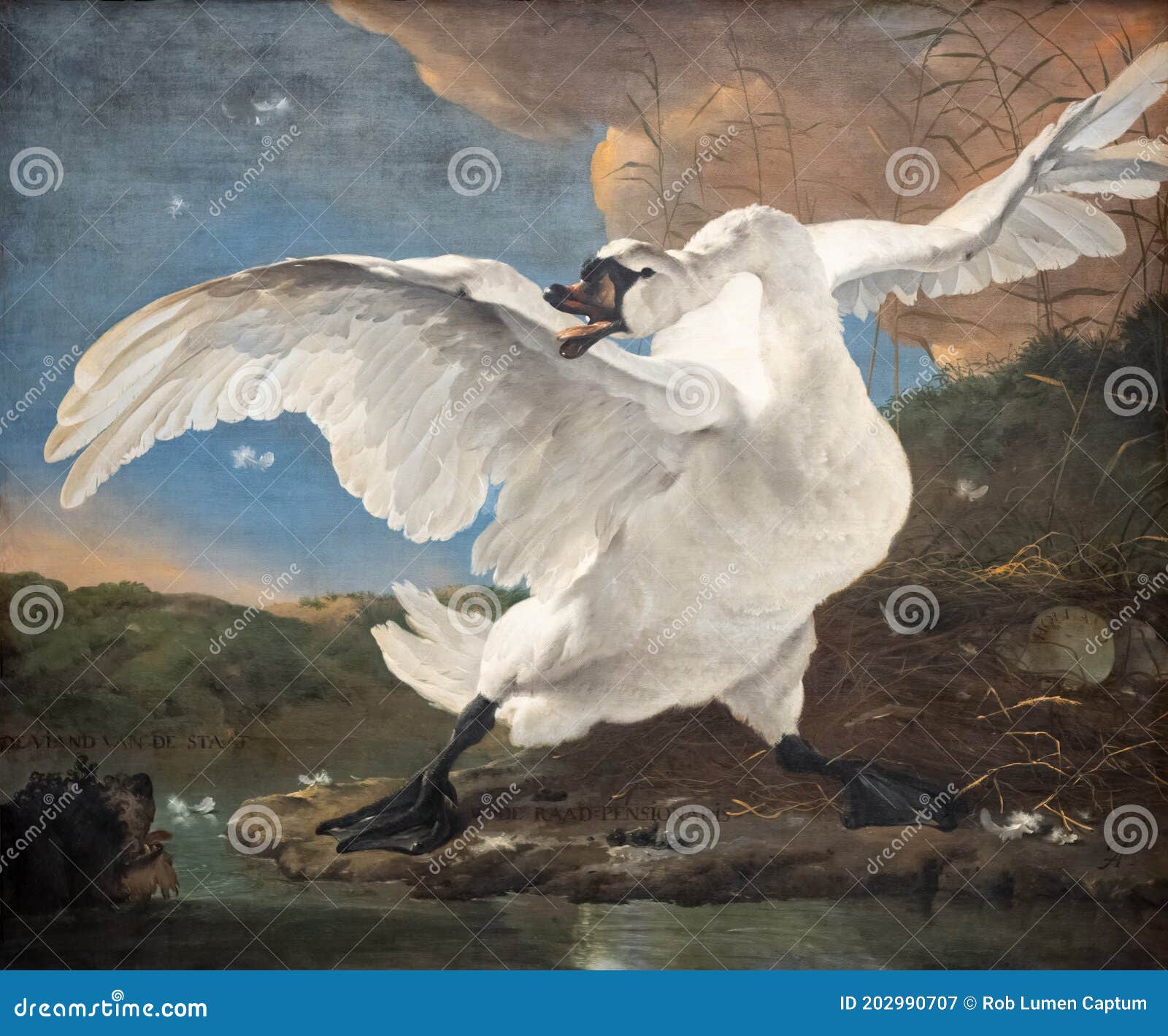 the threatened swan, painting by jan asselijn